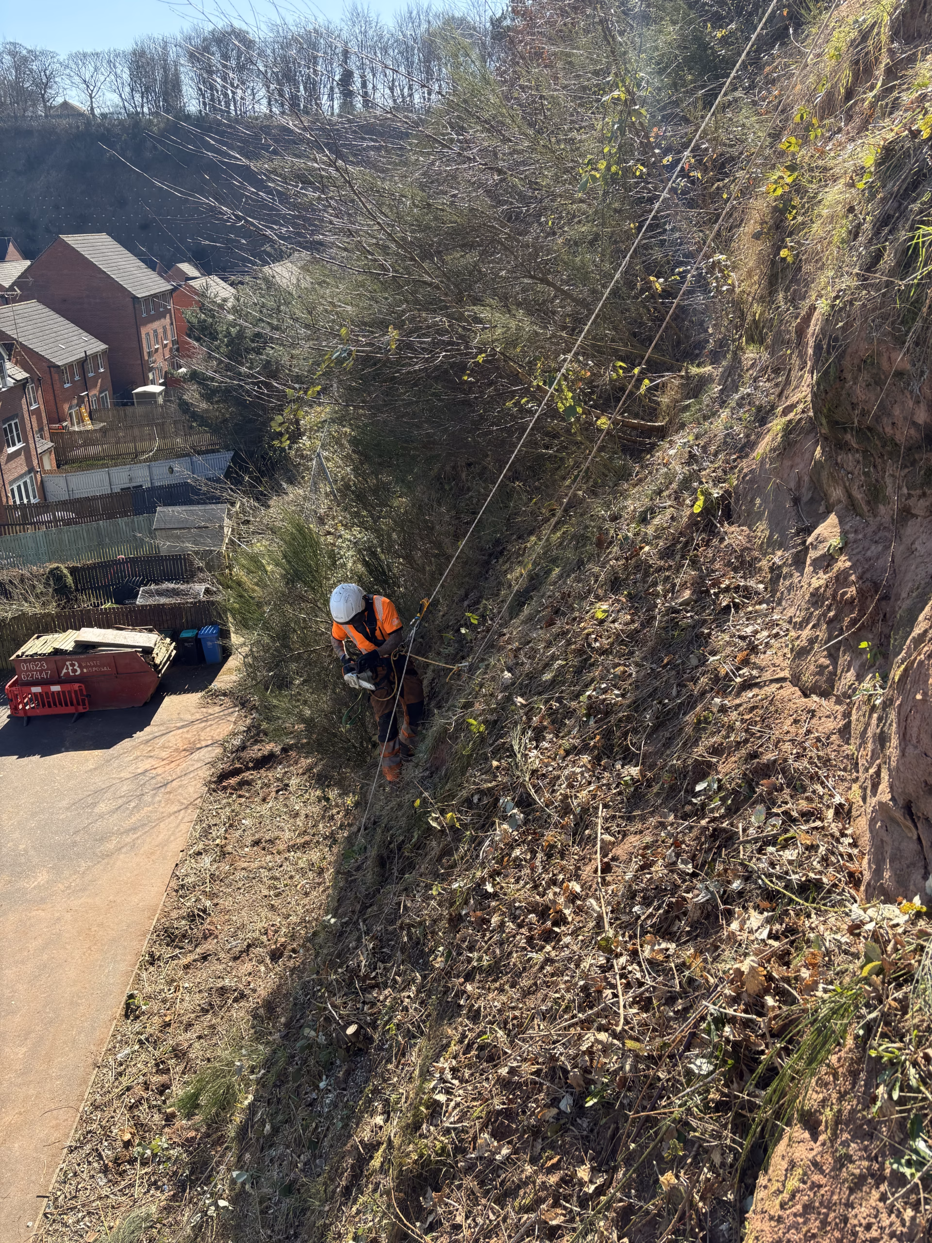 Estate & Grounds Tree Maintenance